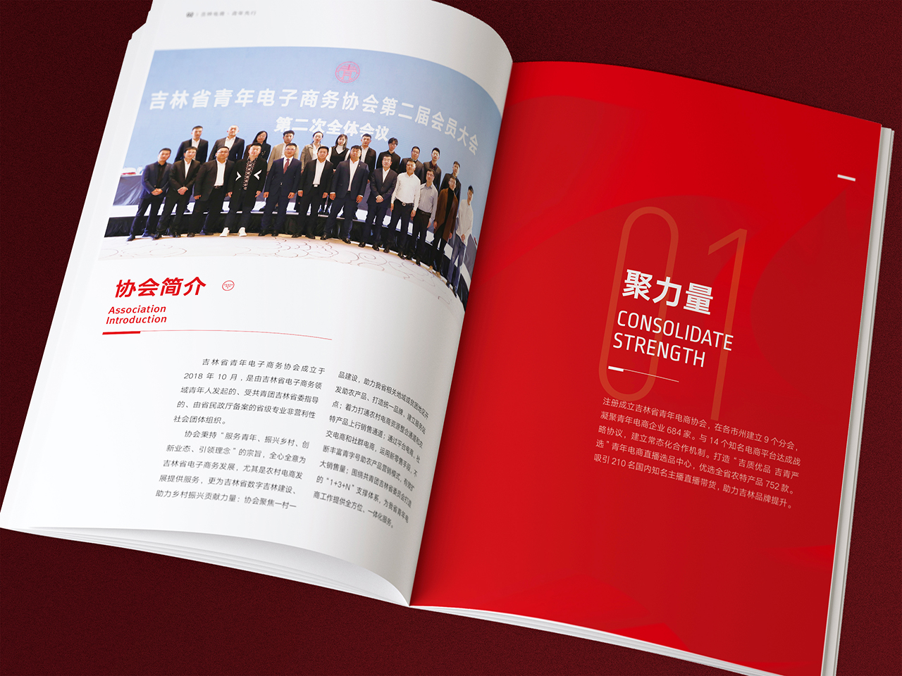 电商协会画册 01