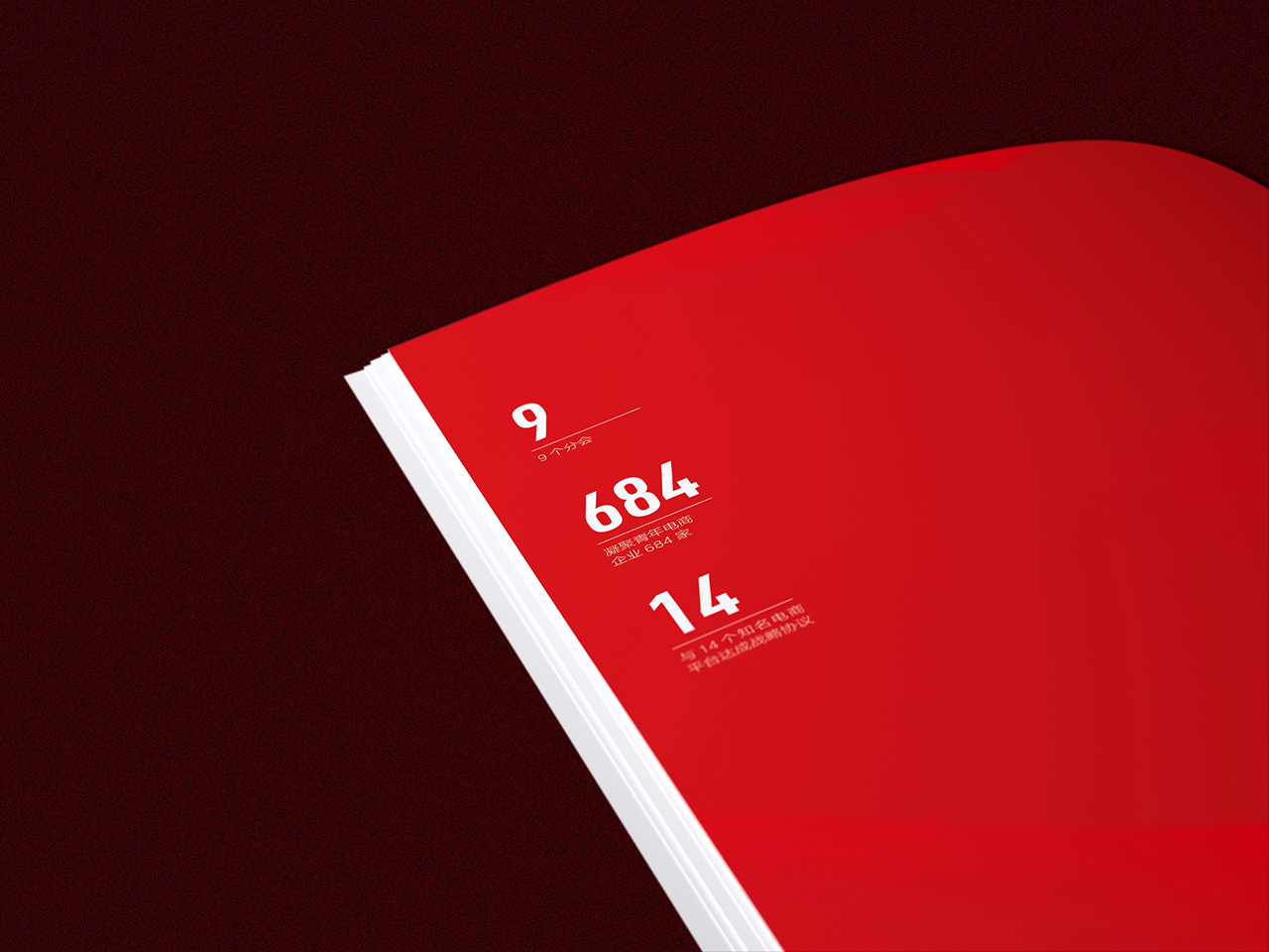 电商协会画册 03